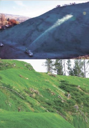 Борьба с лесными пожарами