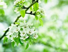 Поздравляем с майскими праздниками!